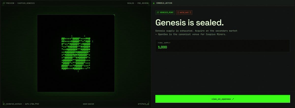 Caspius Miner NFT 决定录制容量的资产展示