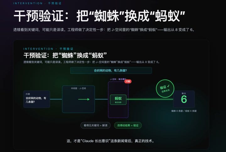 干预实验把蜘蛛换成蚂蚁的动画演示画面