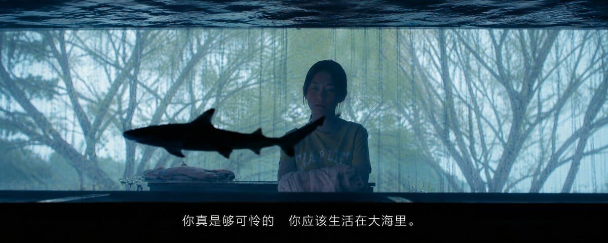 我把斯坦福最火的一门课，做成了Prompt来帮我设计人生。