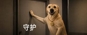 我的网站被攻击了48个小时，Claude Fable 5替我防下了这一切。